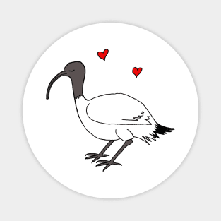 Ibis Love Magnet